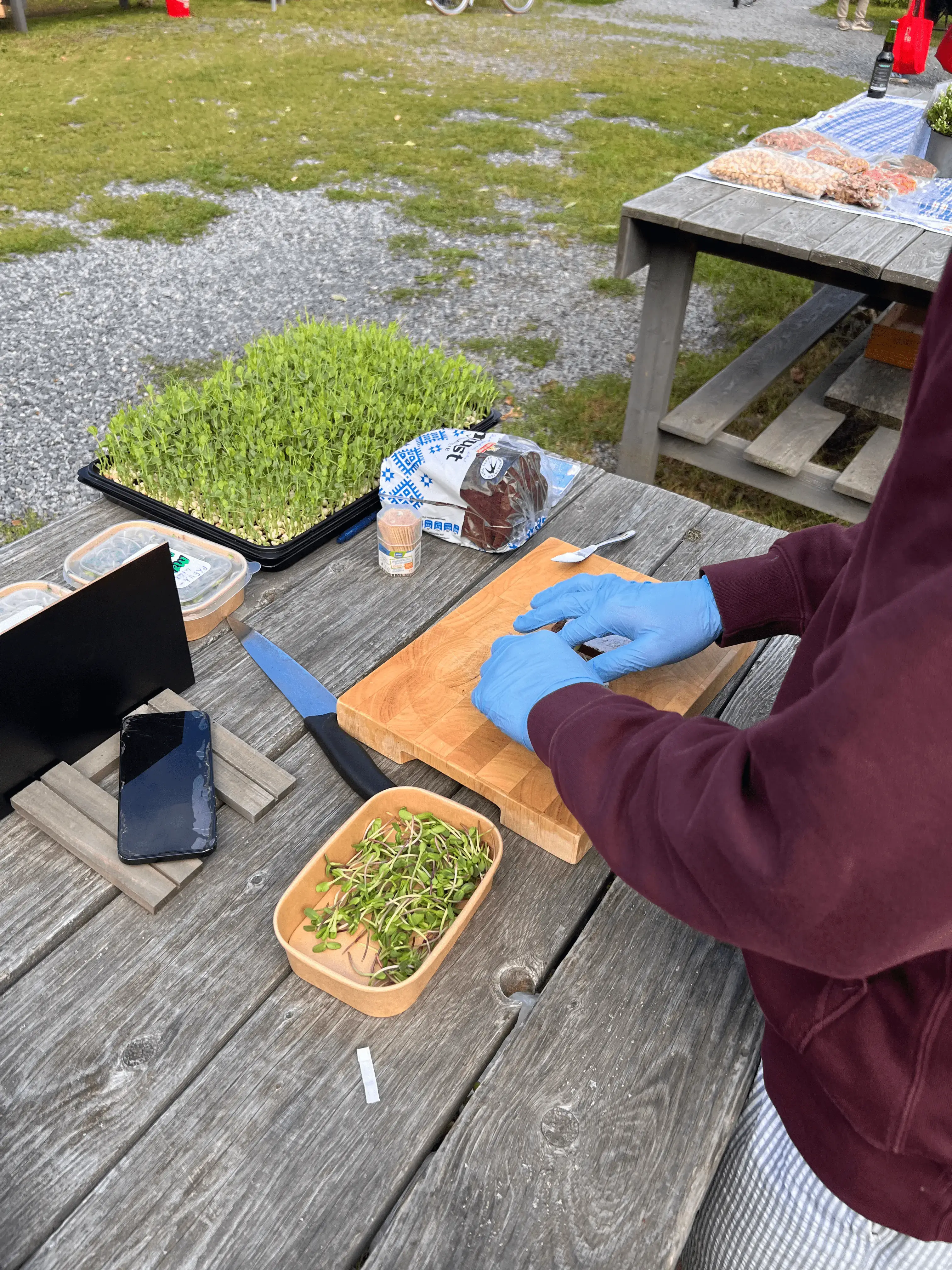 Beautiful dishes with microgreens